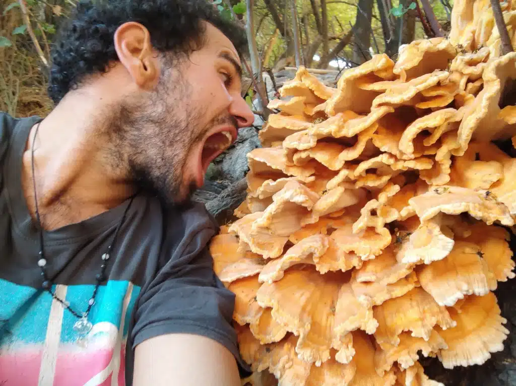 נקובית חלמונית ואני